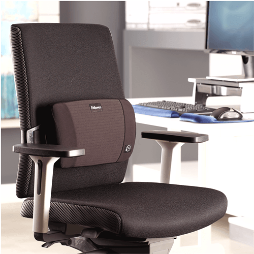 Suport Lombar Ergonomic Fellowes