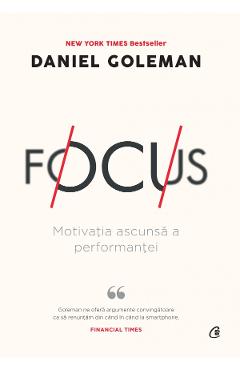 Focus: Motivatia Ascunsa a Performantei de Daniel Goleman