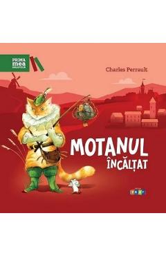 Motanul incaltat